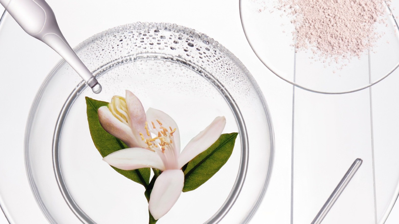 dejouer les mauvais jours pour les cheveux avec notre nouveau shampooing sec